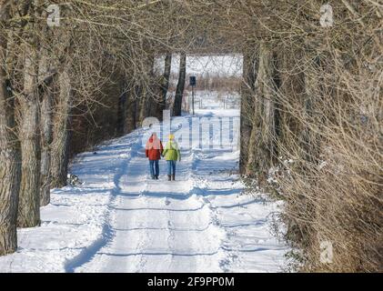 12.02.2021, Hamm, Nordrhein-Westfalen, Deutschland - sonnige Winterlandschaft im Ruhrgebiet, Eis und Schnee an der Lippe, Spaziergänger schlendern auf einem Spaziergang Stockfoto
