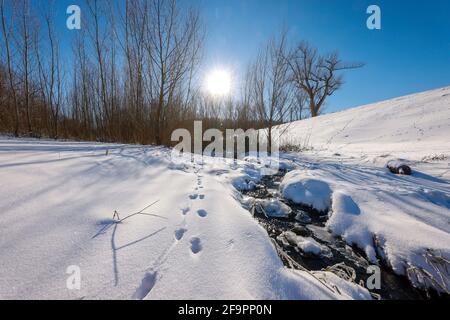 13.02.2021, Bochum, Nordrhein-Westfalen, Deutschland - sonnige Winterlandschaft im Ruhrgebiet, Eis und Schnee am renaturierten Goldhammer-Bach, dem Stockfoto