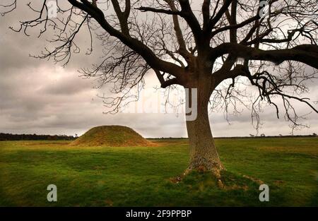 SEAMUS HEANEY, AUTOR DER GEFEIERTEN ÜBERSETZUNG VON BEOWULF, ERÖFFNETE EIN NEUES AUSSTELLUNGSZENTRUM IN SUTTON HOO IN DER NÄHE DER HIER GEZEIGTEN GRABHÜGEL. ZU SEHEN SIND SCHÄTZE, DIE DAS BRITISH MUSEUM AUSGELIEHEN HAT. 13/3/02 PILSTON Stockfoto