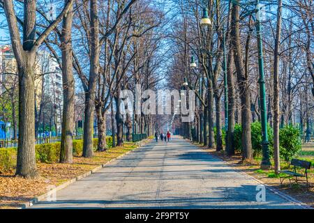 Blick auf eine Promenade, die durch den parco del valentino führt In der italienischen Stadt turin Stockfoto