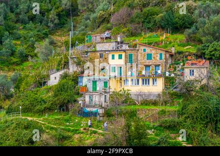 Blick auf eine kleine Siedlung entlang eines Pfades im Nationalpark cinque terre in italien. Stockfoto