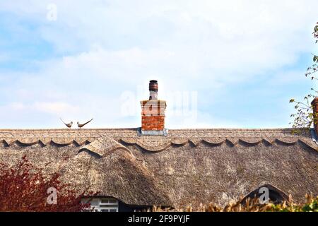 Traditionelles, charmantes Strohdach mit dekorativen Motiven und Strohfasanen. Britische ländliche und ländliche Architektur. England, Großbritannien. Stockfoto