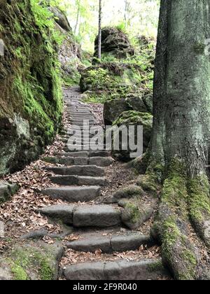 Vertikale Aufnahme von alten Steintreppen in einem Park mit Moosbedeckte Bäume und Steine Stockfoto