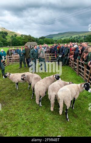 Bauern auf der Muker Show in Swaledale zeigen Schafe. Yorkshire Dales National Park, 2009. Stockfoto