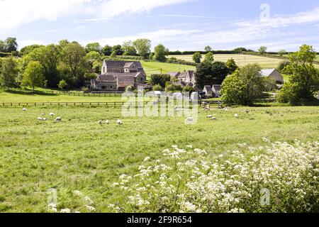 Das Cotswold-Dorf Coln Rogers, Gloucestershire, Großbritannien Stockfoto