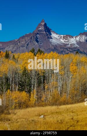 Pilot Peak (L) und Index Peak mit goldenen Espen, in der Nähe des Beartooth Highway im Shoshone National Forest, Wyoming, USA Stockfoto