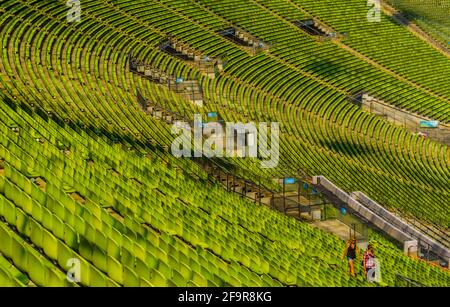 stadion, münchen, Stahl, olympia, Fußball, park, modern, berühmt, Stühle, entworfen, Acryl, Besucher, grün, Reisen, Strom, Attraktion, Kabel, Sommer, Stockfoto