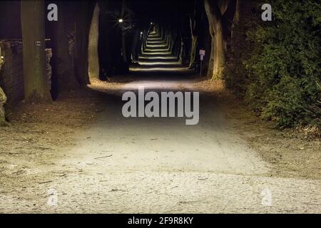 Nachtpark mit Gasse im Spätherbst Stockfoto