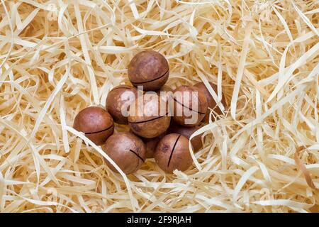 Haufen von Macadamianüssen in Sägespäne auf einem Markt für die Erhaltung von nahrhaften Proteinen in einer Walnussschale, niemand. Stockfoto