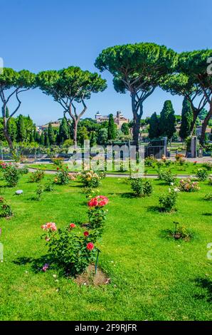 Blick auf den garten roseto di roma Capitale in rom. Dieser Garten blickt vom aventino-Hügel aus auf die Stadt. Stockfoto