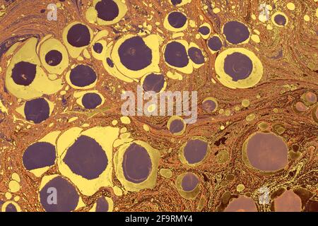 Intensive bunte Mischung aus lebendigen Farben. Abstrakte moderne Hintergrund Vorlagen Design Stockfoto