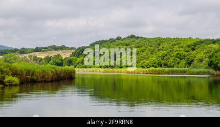 Der Fluss Ropotamo in bulgarien ist einer der beliebtesten Touristenattraktion in burgas, besonders für Flusskreuzfahrten Das Erreichen einer Mündung der BL Stockfoto