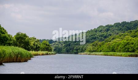 Der Fluss Ropotamo in bulgarien ist einer der beliebtesten Touristenattraktion in burgas, besonders für Flusskreuzfahrten Das Erreichen einer Mündung der BL Stockfoto