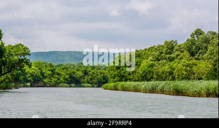 Der Fluss Ropotamo in bulgarien ist einer der beliebtesten Touristenattraktion in burgas, besonders für Flusskreuzfahrten Das Erreichen einer Mündung der BL Stockfoto