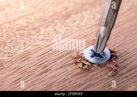 Schraubendreher Schrauben Sie eine Holzeichen-Planke ein. Schneidschraube für PZ3-Bit. Schrauben Makrofoto. Abstraktion der Konstruktion. Industrieller Hintergrund. Stockfoto