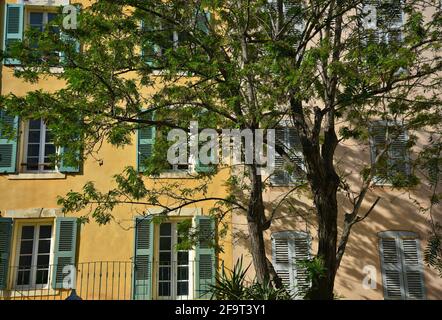 Die Fassade des Hauses im Provençal-Stil mit ockerfarbener Stuckwand und olivgrünen Fensterläden aus Holz in Saint-Tropez an der französischen Riviera. Stockfoto