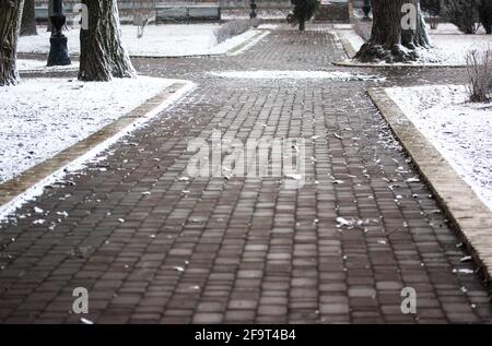 Ein Pflaster Fliesen auf Bürgersteig Weg in einem Stadtpark, pulverisiert mit weißem Schnee. Stockfoto