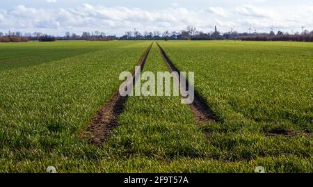 Traktorenbahn in einem grünen Grasfeld mit einer Silhouette Zeigt Häuser Bäume und Windmühlen im Hintergrund Stockfoto