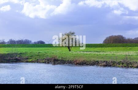 Blick auf einen Fluss mit einem regen Schlag grüne Vegetation Und Regenwolken Stockfoto