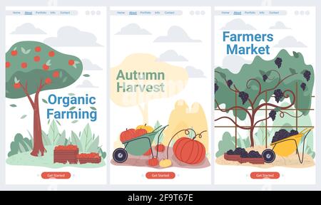 Flache Cartoon-Früchte, Gemüseernte Ernte, Landing Page Set, Vektor-Design-Konzept Stock Vektor