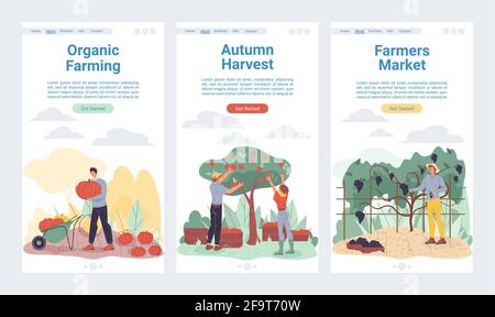 Flache Cartoon-Figuren Ernte, Landing Page Set, Vektor-Design-Konzept Stock Vektor