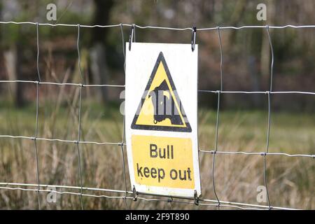 Schottland, Ayrshire, Auchinleck House, Warnschild am Fence Bull Keep Out 16 Apr 2021 Stockfoto