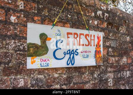 Ein Schild für frische Hühner- und Enteneier vor einer ländlichen Farm in England, Großbritannien Stockfoto