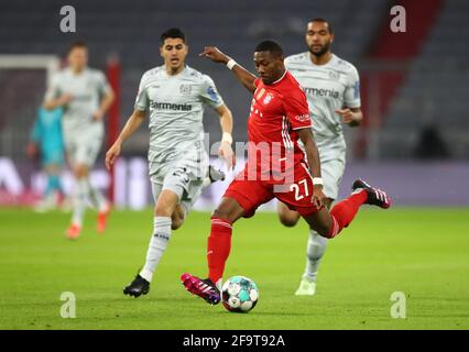 München, Deutschland. April 2021. Fußball: Bundesliga, Bayern München - Bayer Leverkusen, Matchday 30. Münchner Verteidiger David Alaba Kredit: Matthias Schrader/AP Pool/dpa/Alamy Live News Stockfoto