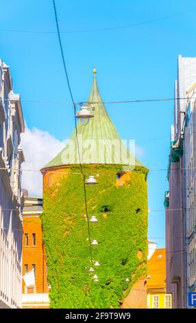 Pulvertornis - der Pulverturm in der Altstadt von Riga, Lettland. Stockfoto