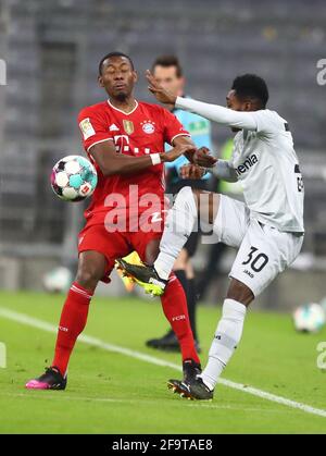 München, Deutschland. April 2021. Fußball: Bundesliga, Bayern München - Bayer Leverkusen, Matchday 30. Der Münchner Verteidiger David Alaba und der Leverkusener Verteidiger Jeremie Frimpong (r). Quelle: Matthias Schrader/AP Pool/dpa/Alamy Live News Stockfoto