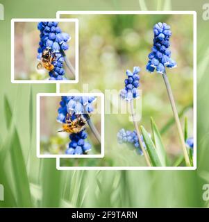 Vorgefertigte Notizbuch-Hülle mit Bildern von Natur, Blumen, Bienen Stockfoto