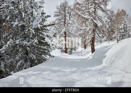 Winter verschneite Berglandschaft Stockfoto