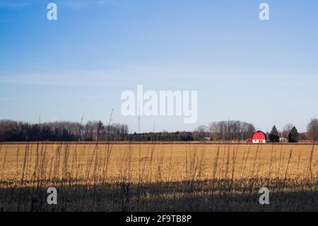 Farm Field mit Red Barn im Hintergrund, Lake City, Michigan Stockfoto