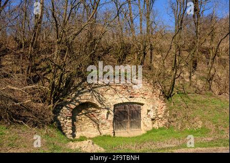 Der Eingang eines typischen Weinkellers im Niederösterreichischen Weinviertel. Stockfoto