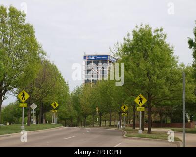 BAHNHOF SMU Mockingbird Stockfoto