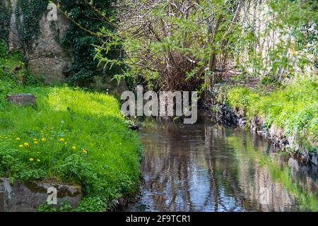 Der Fluss Bièvre bei Bièvres, im Departement Essonne, Frankreich. Der Fluss Bièvre, einst ein Nebenfluss der seine, fließt heute in die Kanalisation von Paris Stockfoto