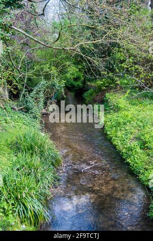 Der Fluss Bièvre bei Bièvres, im Departement Essonne, Frankreich. Der Fluss Bièvre, einst ein Nebenfluss der seine, fließt heute in die Kanalisation von Paris Stockfoto