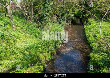 Der Fluss Bièvre bei Bièvres, im Departement Essonne, Frankreich. Der Fluss Bièvre, einst ein Nebenfluss der seine, fließt heute in die Kanalisation von Paris Stockfoto