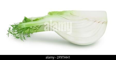 Frische Fenchel Lampe isoliert auf weißem Hintergrund mit Clipping-Pfad Und volle Schärfentiefe Stockfoto