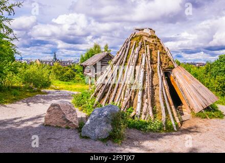 Bär, braun, Junge, grizzly, verspielt, Spielen, skansen, stockholm, Zoo, Tier, Verhalten, gefangen, Gefangenschaft, djurgarden Insel, Säugetier, Fleischfresser, Auto Stockfoto