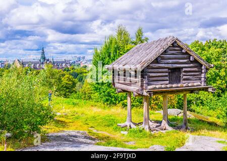 Bär, braun, Junge, grizzly, verspielt, Spielen, skansen, stockholm, Zoo, Tier, Verhalten, gefangen, Gefangenschaft, djurgarden Insel, Säugetier, Fleischfresser, Auto Stockfoto
