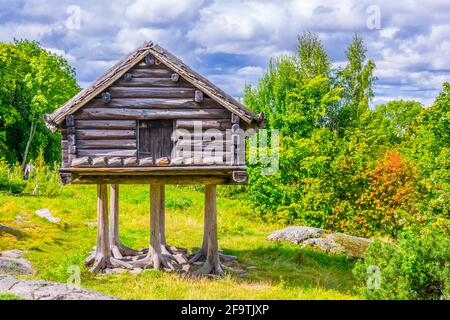 Bär, braun, Junge, grizzly, verspielt, Spielen, skansen, stockholm, Zoo, Tier, Verhalten, gefangen, Gefangenschaft, djurgarden Insel, Säugetier, Fleischfresser, Auto Stockfoto
