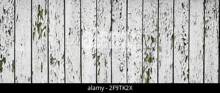 Weiße schuppige Farbe auf einem alten verwitterten Holzzaun. Vintage Holz Hintergrund Wand. Abblätternde Farbflocken. Alte verwitterte Holzdiele in weißem col lackiert Stockfoto