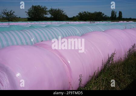 Bunte, mit Plastik bedeckte Heuballen in der französischen Landschaft Stockfoto