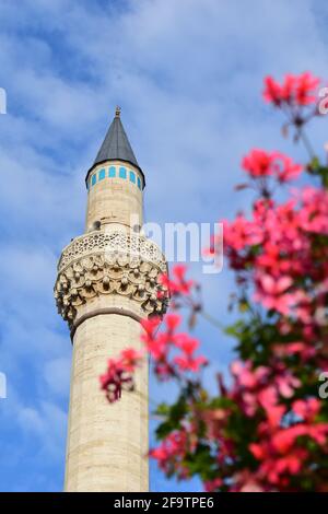 Verschwommene rosa Blüten und eines der Minarette der Selimiye-Moschee aus dem 16. Jahrhundert in Konya, Türkei. Stockfoto