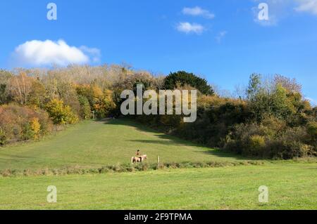 Reiter im Happy Valley Park, Teil des South London Downs National Nature Reserve, an einem sonnigen Herbsttag. Old Coulsdon, England, Großbritannien Stockfoto