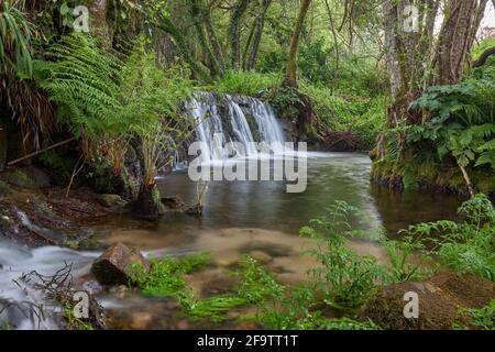 Kleine Wasserfälle, die durch den Fluss Tripes im Naturpark des Monte Aloia Parks, in der Gegend von Galicien, Spanien, gebildet werden. Stockfoto