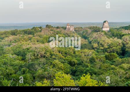 Tempel an der archaelogischen Stätte Tikal, Guatemala Stockfoto