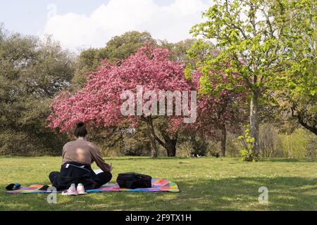 Junge Frau sitzt Sohn Yogamatte , mit Rucksack, Schuhe. Jacke, umgeben von frischen Frühlingsblumen und grünen Blättern auf dem Baum, London greenwich Park UK Stockfoto