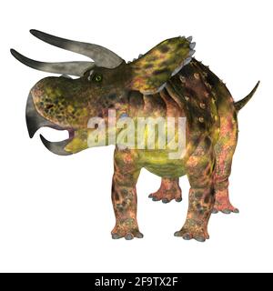 Nasutoceratops war ein pflanzenfressender Ceratopsid-Dinosaurier, der in der Kreidezeit in Utah, USA, lebte. Stockfoto